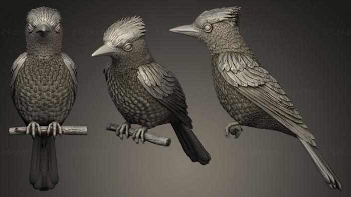 Статуэтки птицы (Джей, STKB_0039) 3D модель для ЧПУ станка